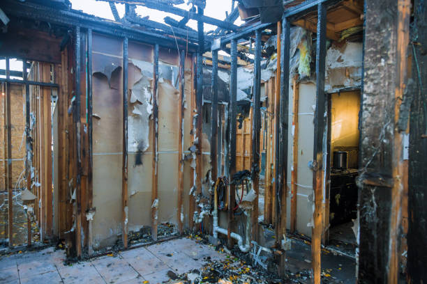 Professional Smoke Damage Removal technician working in Austintown, OH